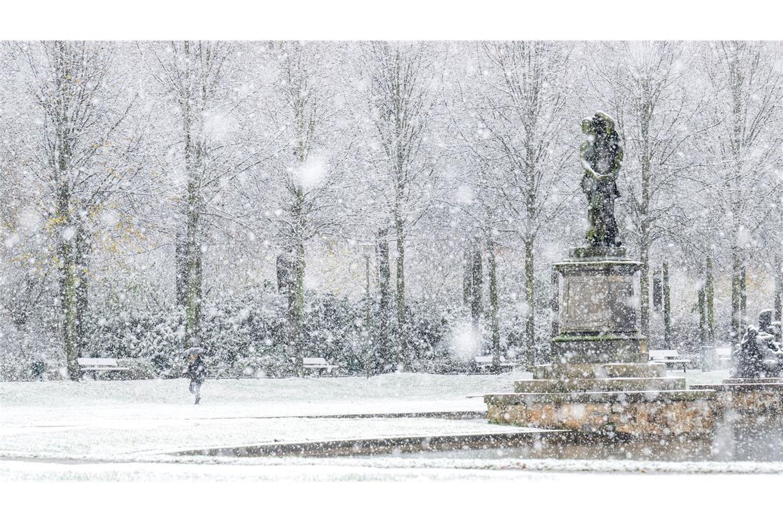 Bilder des Tages Schnee fällt in dichten Flocken am Hollersee im Bürgerpark in Bremen.