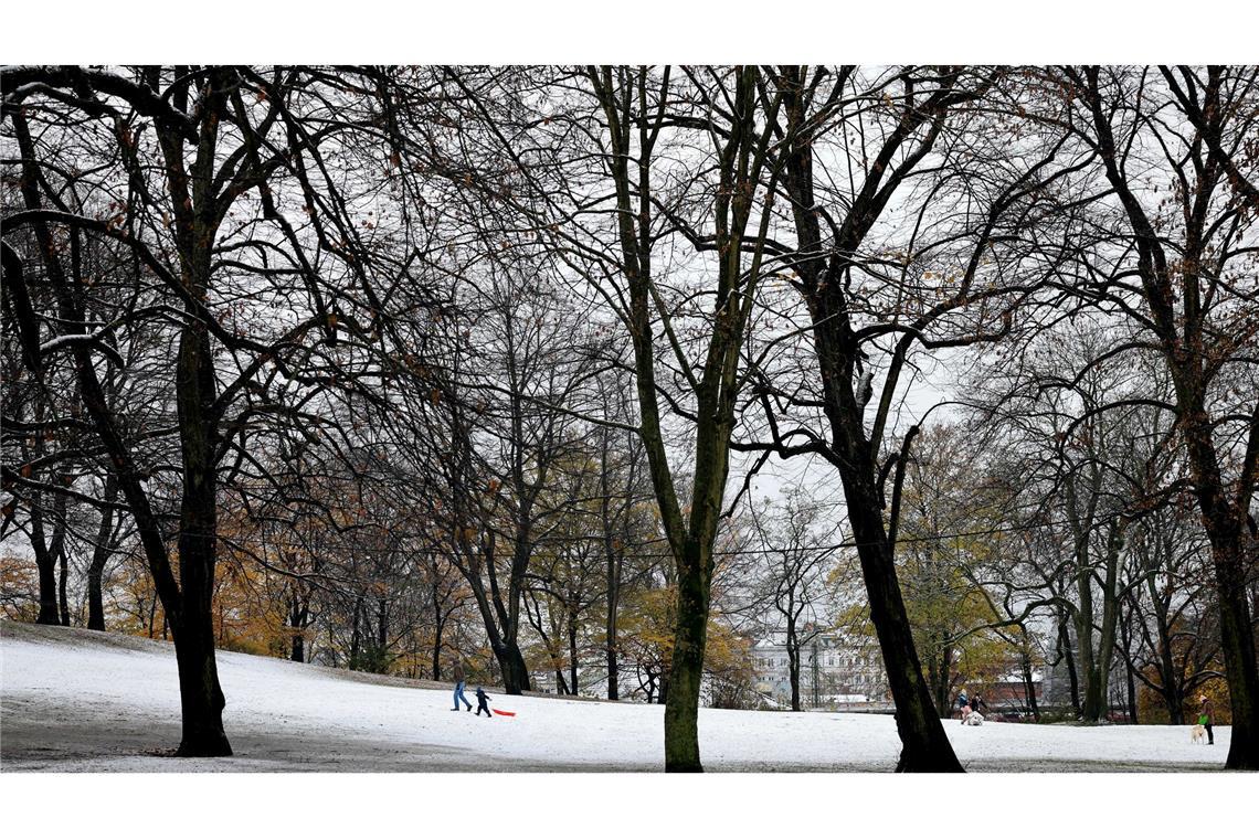 Bilder des Tages Schnee in Hamburg: unterwegs mit dem Schlitten im Schanzenpark.