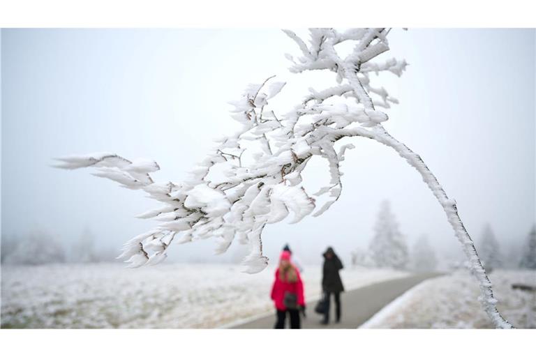 Schnee zu Weihnachten wird es nur vereinzelt geben.