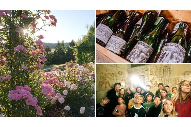 Schöne Ausflugsziele: blühende Pracht auf der Blumeninsel Mainau (o.li.), Familienzeit beim Camping (re.) und die letzte erhaltene Glashütte im Schwarzwald (u.li.)
