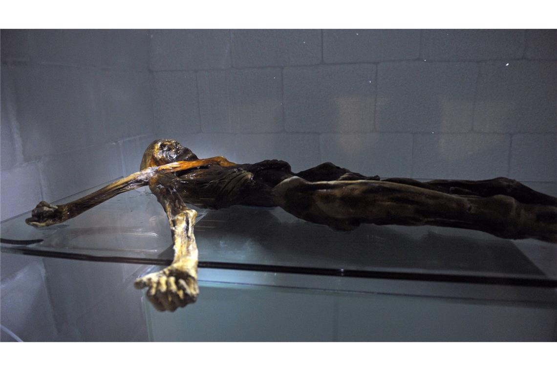 Schon der Gletschermann Ötzi war mit dem krebserregenden HPV16-Virus infiziert – und das vor 5.300 Jahren.