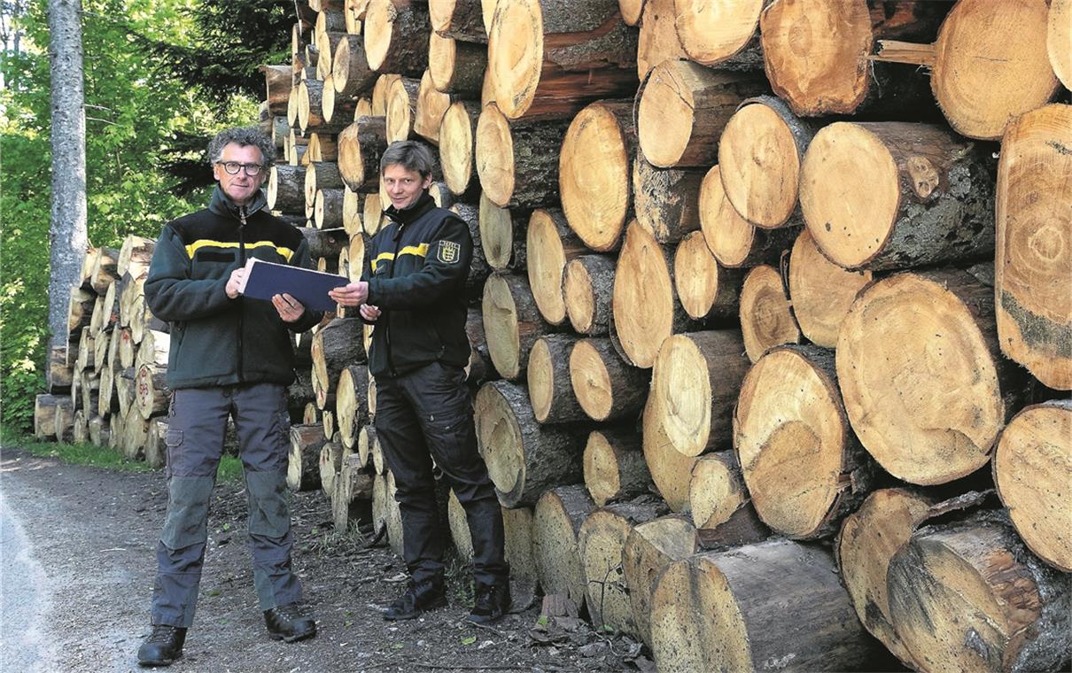 Schon im Frühjahr war klar, dass die Schäden im Wald in Murrhardt und Umgebung groß sind, wie Dieter Seitz und Tobias Horwath (rechts) bei einem Gang berichteten. Archivfotos: J. Fiedler/E. Layher