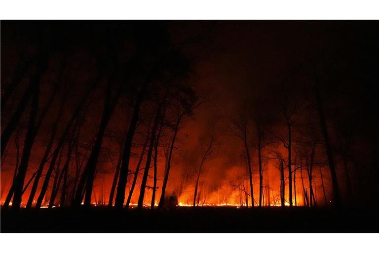 Seit dem Ausbruch des Waldbrandes in New Jersey am Dienstagmorgen breiten sich die Flammen schnell aus.