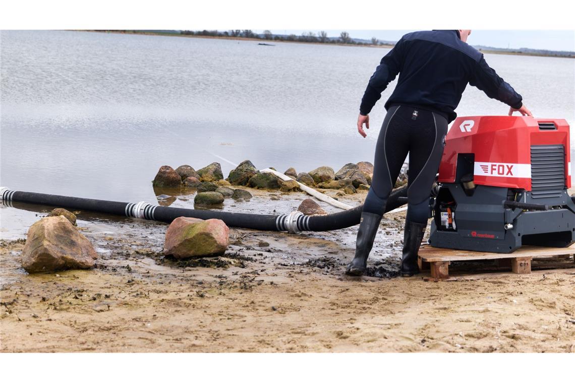 Buckelwal lebt – Experten sollen Gesundheitszustand prüfen