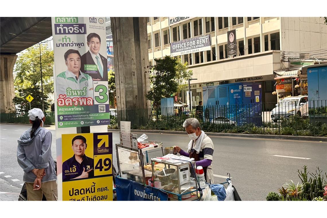 Seit Wochen buhlen die Parteien im Land um Wähler. (Archivbild)