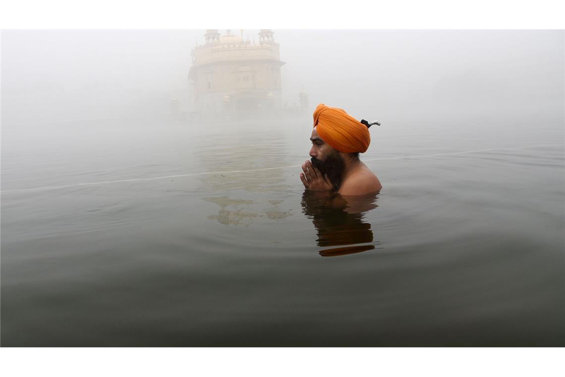 Bilder des Tages Sikh-Festival in Indien: Ein Sikh-Anhänger betet im Teich, der den Goldenen Tempel umgibt.