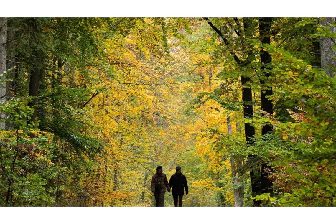So idyllisch kann der Herbst sein.