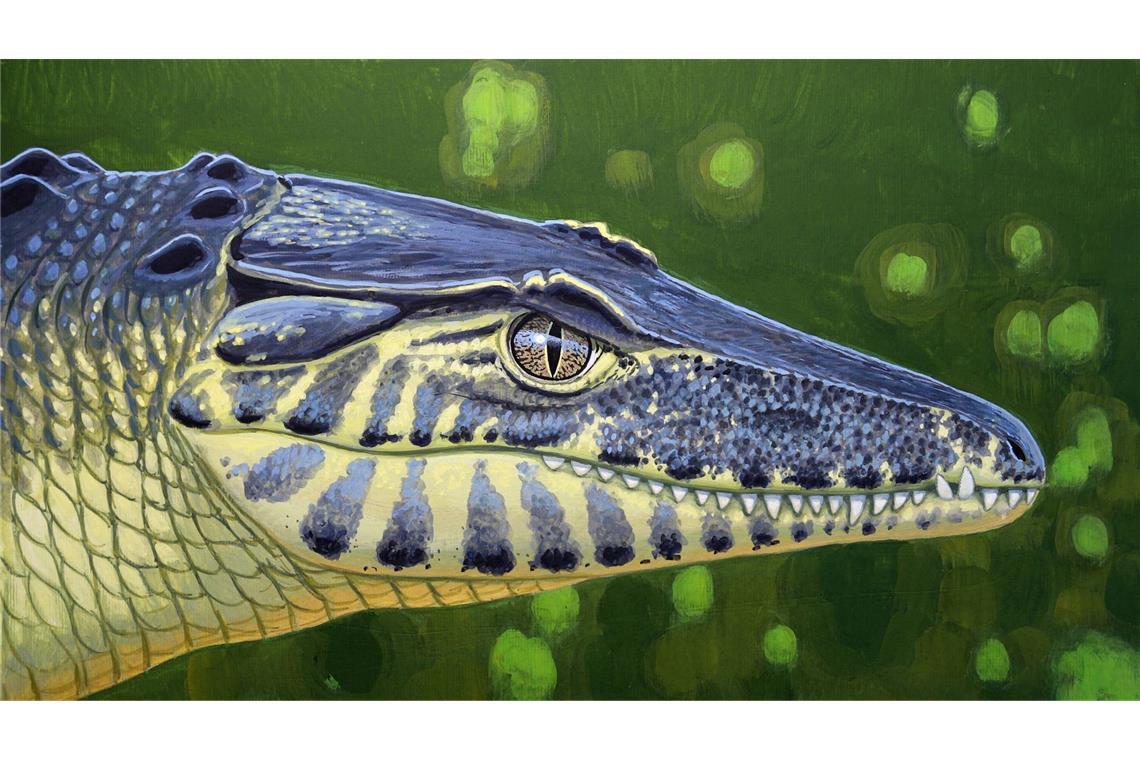 So könnte das landlebende Krokodil Doratodon carcharidens vor 85 Millionen Jahren ausgesehen haben. Anders als zuvor gedacht kam es jedoch nicht aus Gondwana.