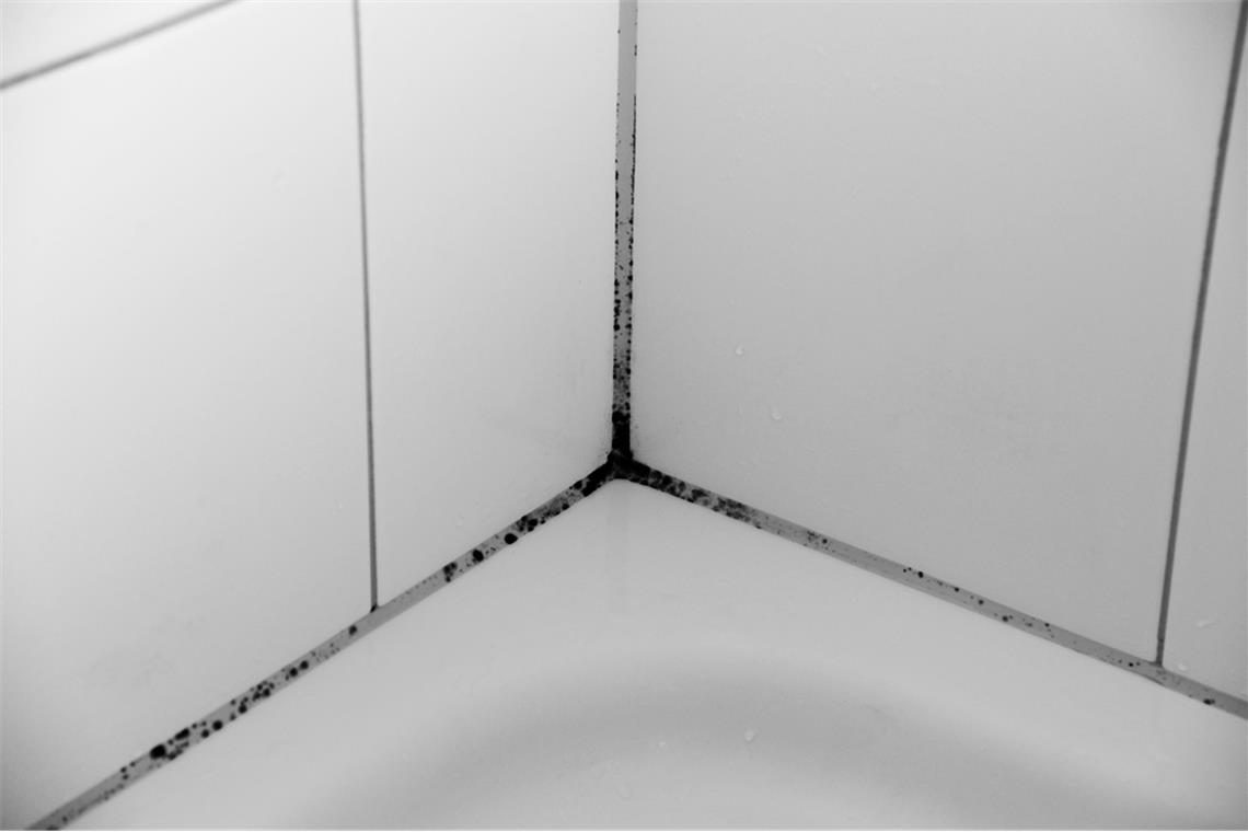 Schimmel aus Silikonfugen entfernen So werden Sie den Schimmel los.