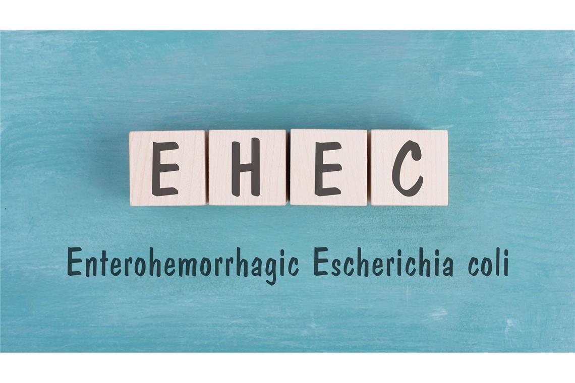 Wie wird EHEC übertragen? So wird EHEC übertragen.