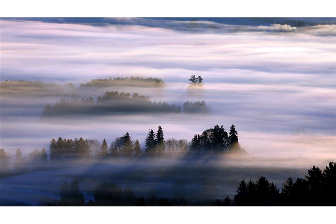 Sonne gibt es am ehesten in den Alpen.