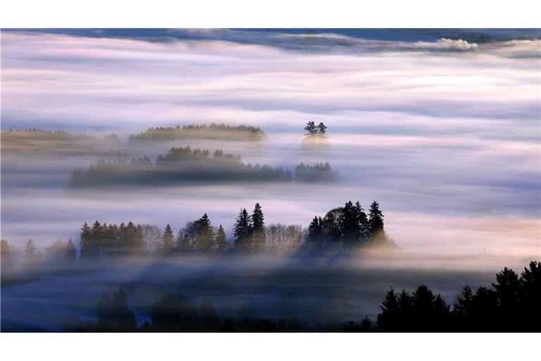 Sonne gibt es am ehesten in den Alpen.