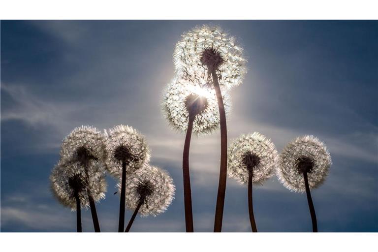 Sonne satt gab es am 1. Mai. Das ändert sich aber in den nächsten Tagen.