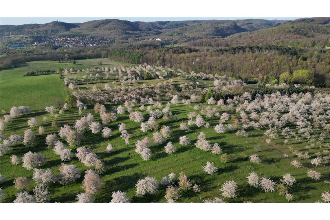 Sonne, Wolken und Schauer wechseln sich Ostermontag ab Sonne und Wolken wechseln sich am Ostermontag in Deutschland ab, sagt der Deutsche Wetterdienst.