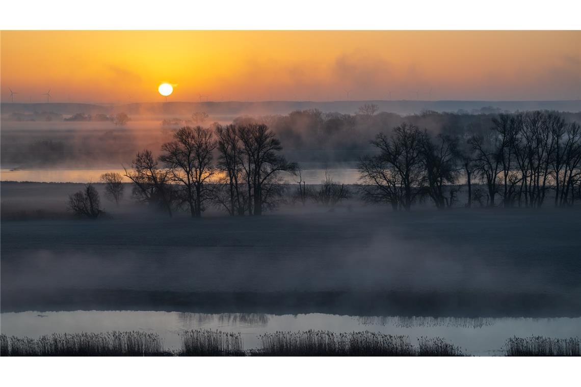 Sonnenaufgang im Nebel: Stimmungsvolle Morgenstimmung an der Oder