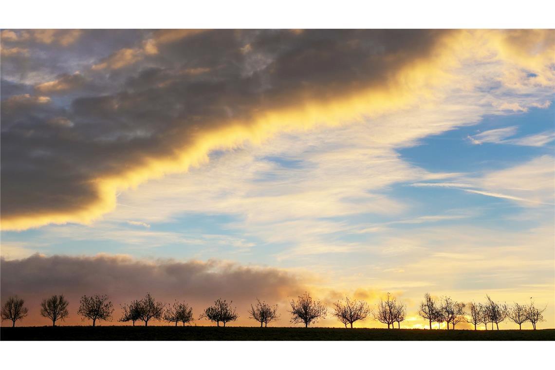 Bilder des Tages Sonnenaufgang in Baden-Württemberg
