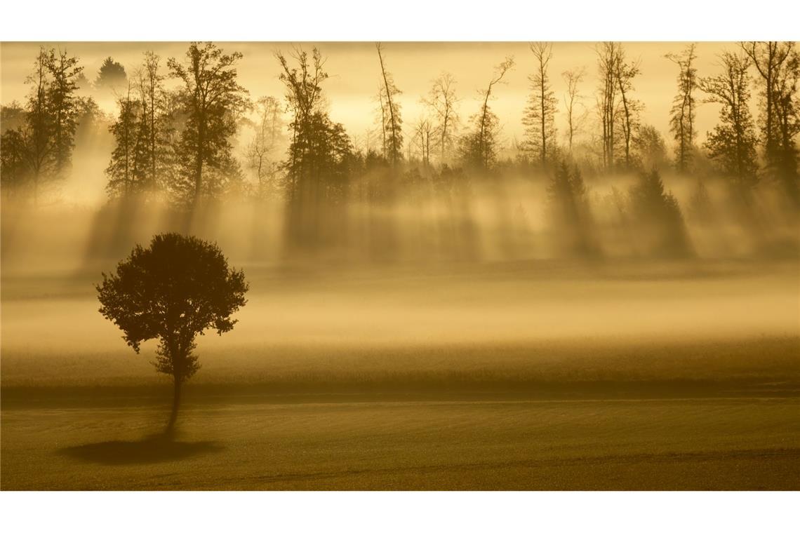 Sonnenstrahlen und Nebel am Morgen in Baden-Württemberg.