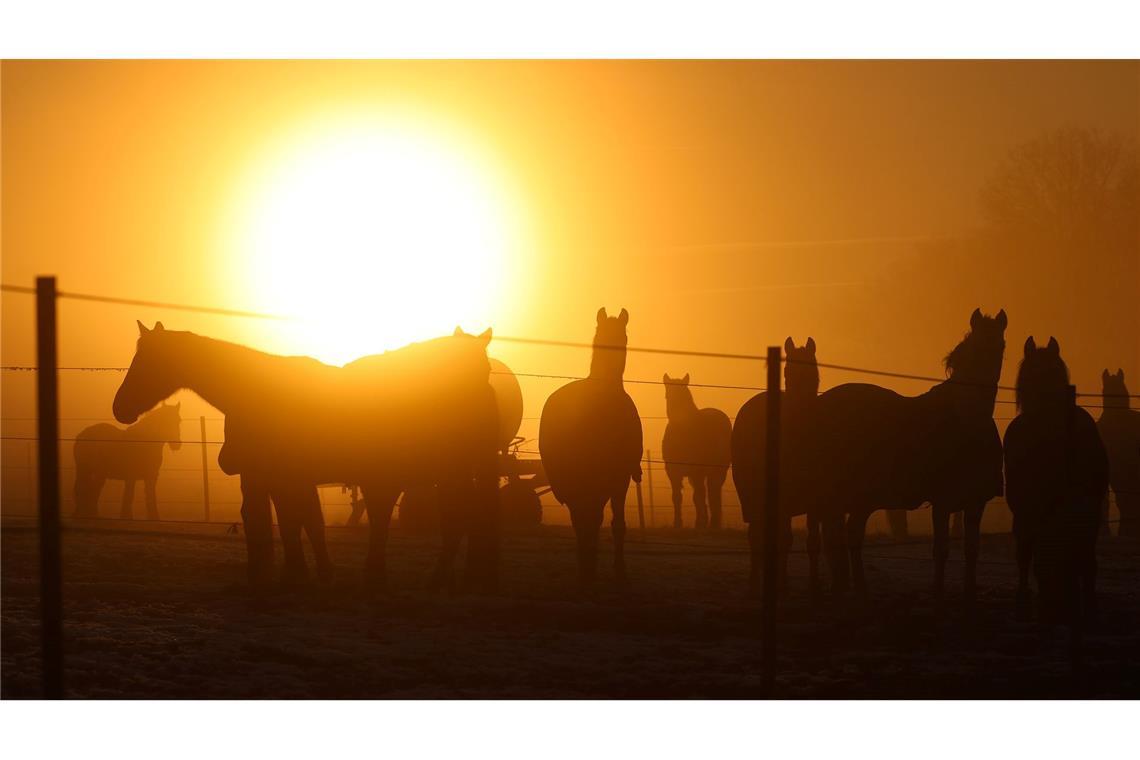 Bilder des Tages Sonnenuntergang auf der Schwäbischen Alb