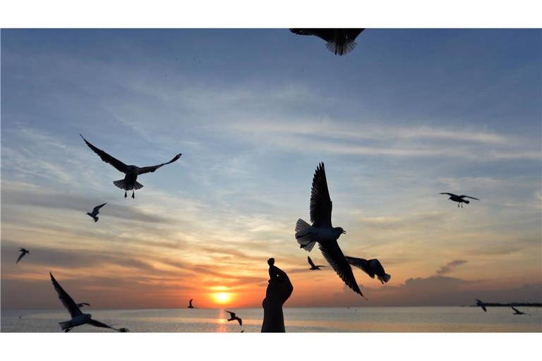 Sonnige Reiseziele sind laut Dertour besonders gefragt. (Archivbild)