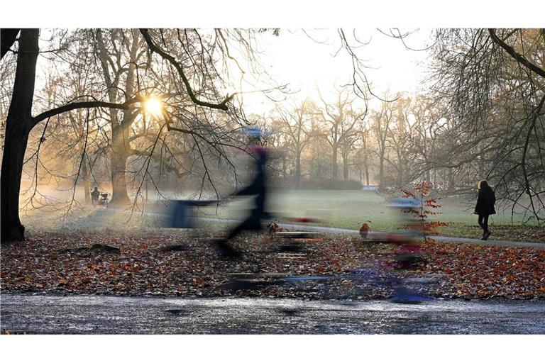 Sonniger Morgen in Leipzig: Radfahrer und Fußgänger sind am Morgen im Clara-Zetkin-Park unterwegs