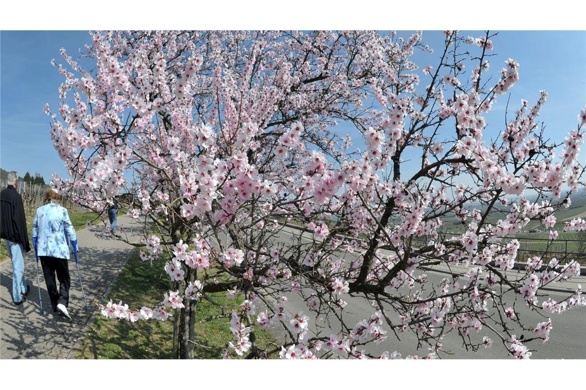 Sonniger Wochenstart in Baden-Württemberg. (Archivbild)
