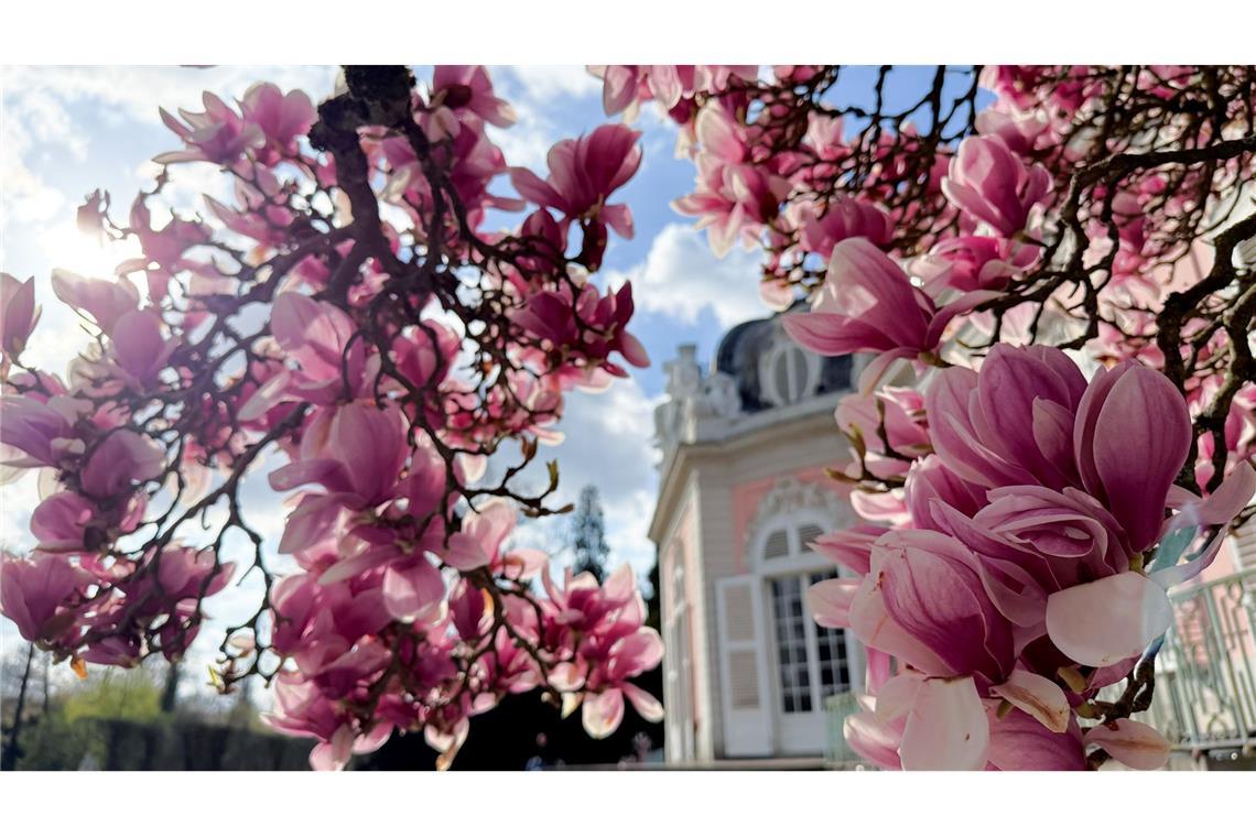Bilder des Tages Sonniges Wetter in Nordrhein-Westfalen.