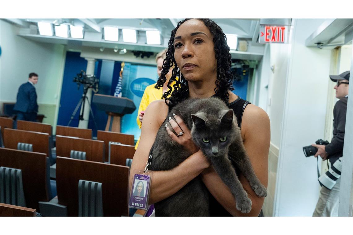 Katze auf Abwegen sorgt für Aufsehen im Weißen Haus Sophie, eine Katze, die sich auf das Gelände des Weißen Hauses verirrt hat, wird von Francesca Chambers, Korrespondentin des Weißen Hauses für USA Today, im Weißen Haus auf dem Arm gehalten.