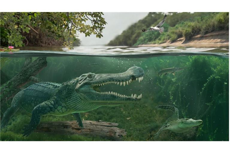 Spätkreidezeitliche Begegnung in den südwestlichen Küstensümpfen der Western Interior Seaway: Links Deinosuchus riograndensis, rechts ein früher Alligatoroide