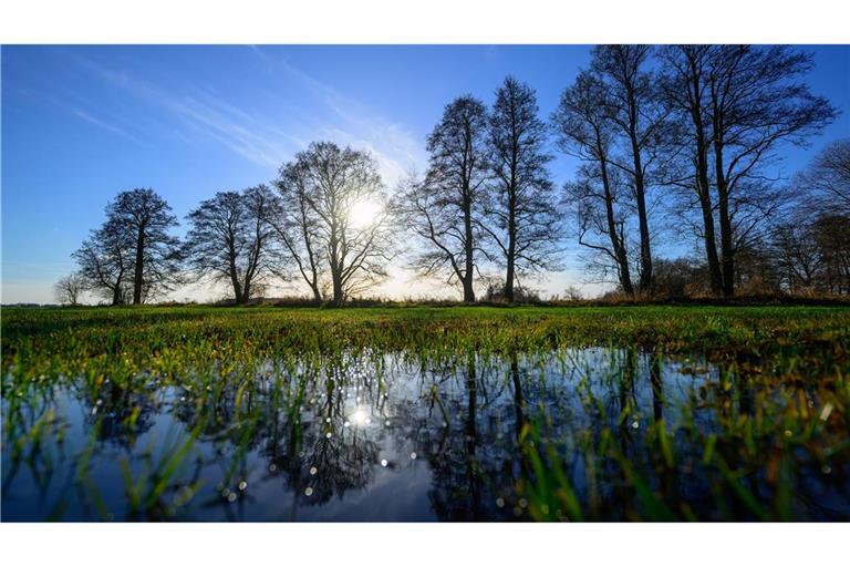 Spreewald: Kahle Bäume spiegeln sich auf überschwemmter Winterwiese.
