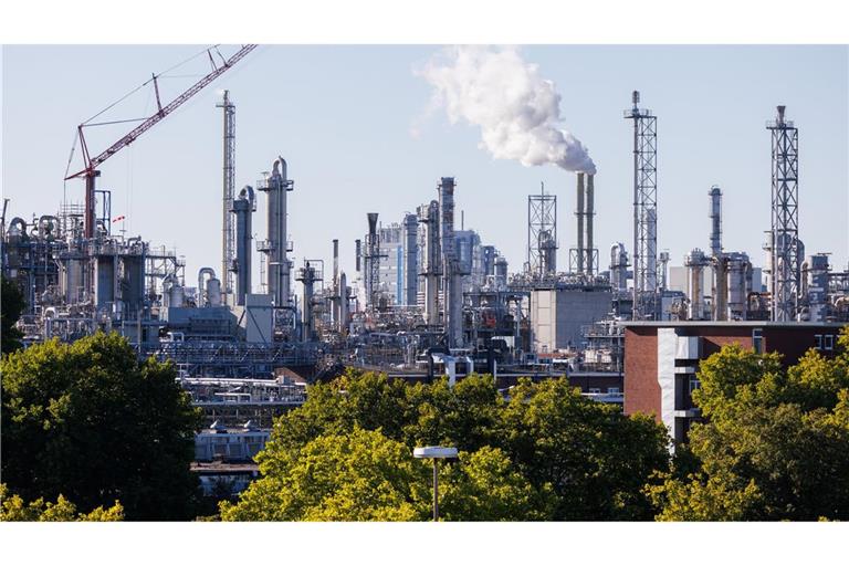 Spürt die schwache Nachfrage: der weltgrößte Chemiekonzern BASF. (Archivbild)