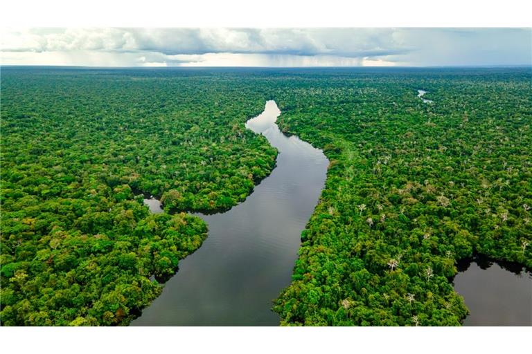 Staffel 5 von "7 vs. Wild" bringt die Teilnehmer offenbar in den Amazonas.