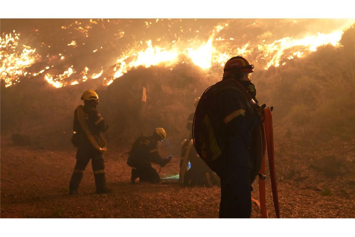 Stecken Brandstifter hinter den Feuern?
