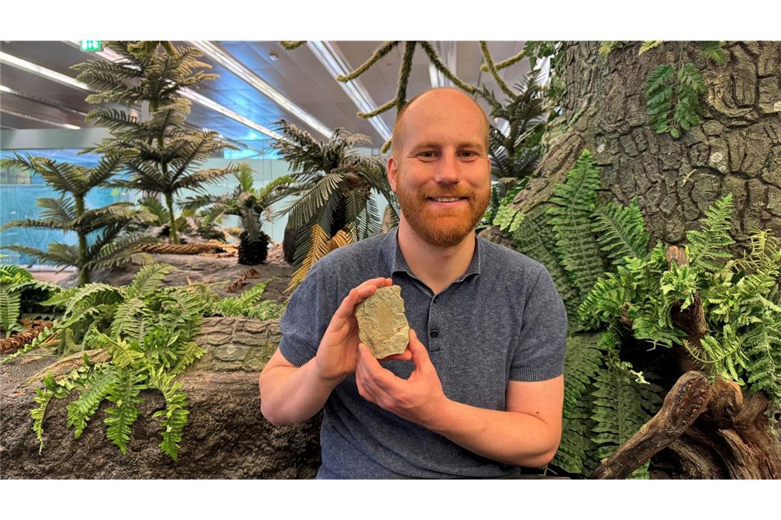 Wie ein fossiler „Wundersaurier“ das Verständnis der Reptilien-Evolution verändert