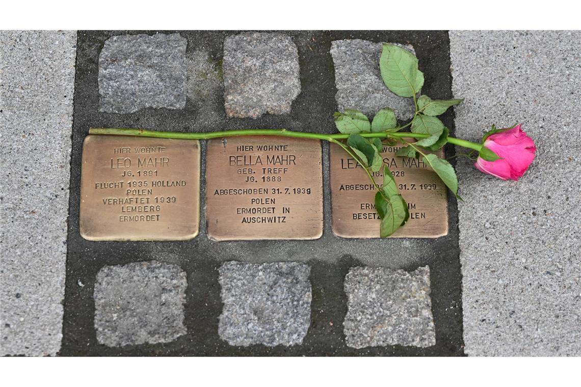 Stolpersteine erinnern in vielen deutschen Städten an individuelle Opfer des Nationalsozialismus. (Archivbild)