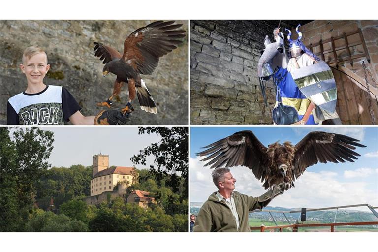 Stolze Vögel und mittelalterliche Atmosphäre auf Burg Guttenberg.