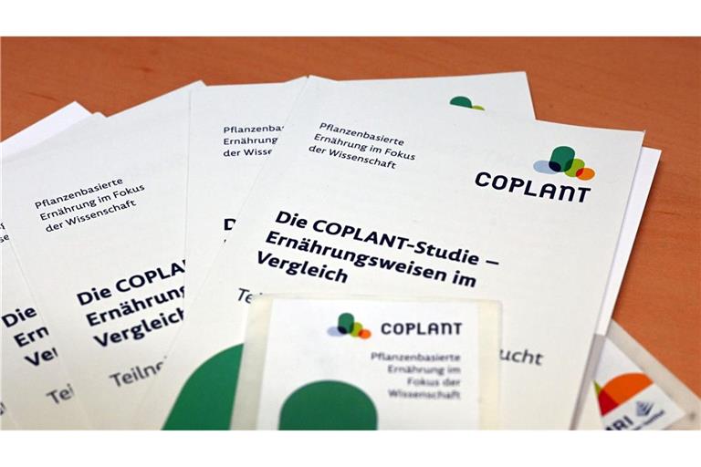 Studie zu pflanzlicher Ernährung bezieht nun auch Kinder ein (Kinder sind am Zug (Archivbild)