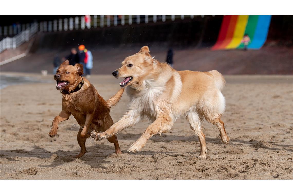 Bilder des Tages Bilder des Tages