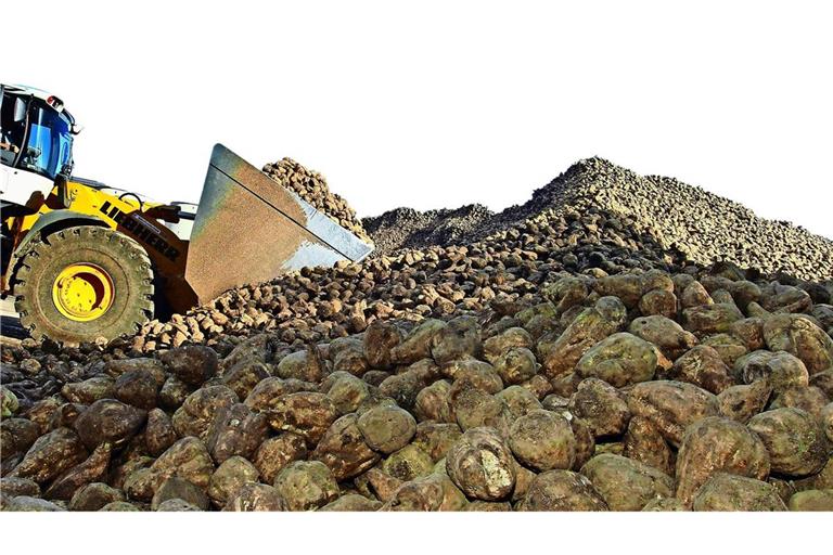 Südzucker rechnet mit einem anhaltend schwierigen Markt für Zucker (Symbolfoto).