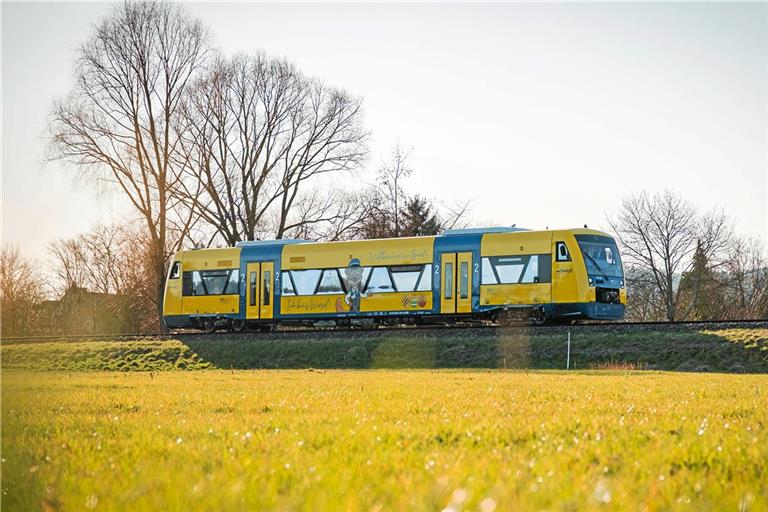 Symbolfoto: Danijel Grbic/Landratsamt Rems-Murr-Kreis