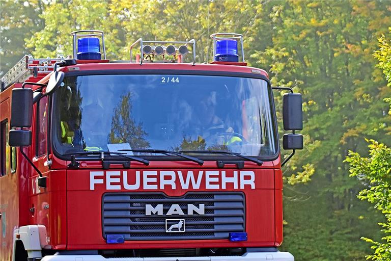 Symbolfoto: Tobias Sellmaier