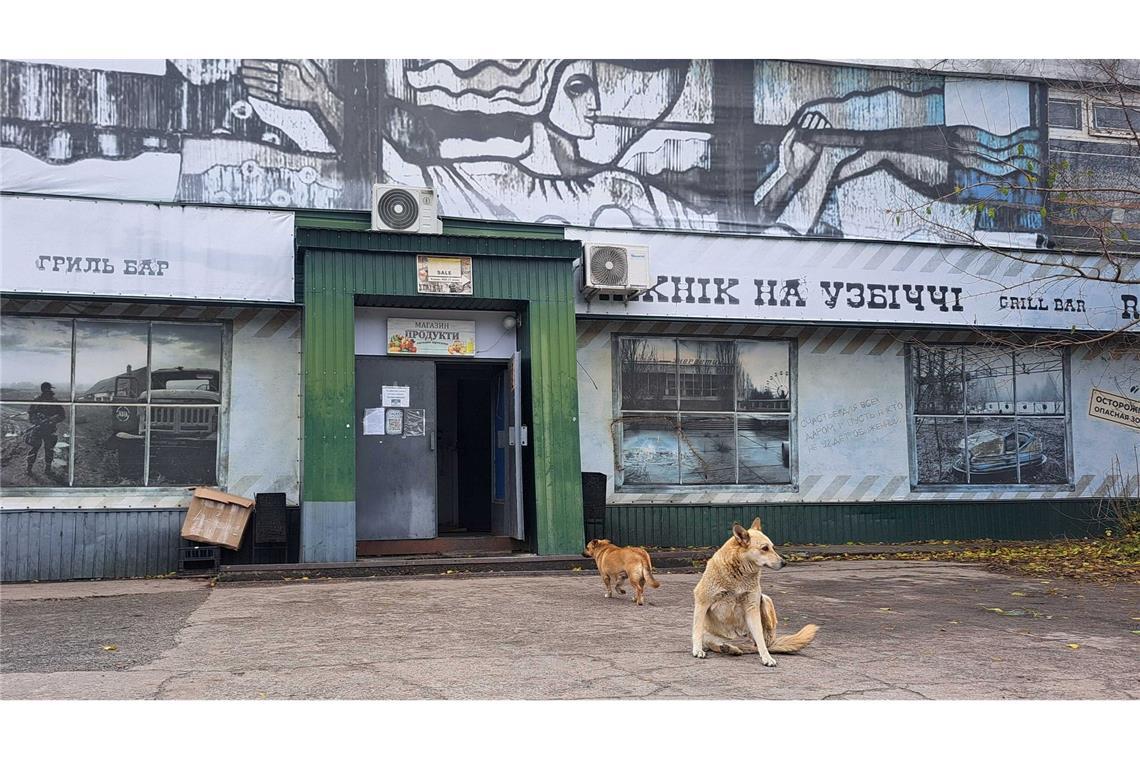 Tagelang berichteten internationale Medien über "blaue Hunde" in Tschernobyl. Im radioaktiv belasteten Sperrgebiet bezeichnet man die Berichte als Unsinn.