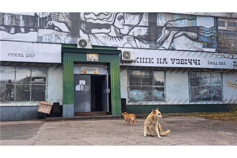 Tagelang berichteten internationale Medien über "blaue Hunde" in Tschernobyl. Im radioaktiv belasteten Sperrgebiet bezeichnet man die Berichte als Unsinn.