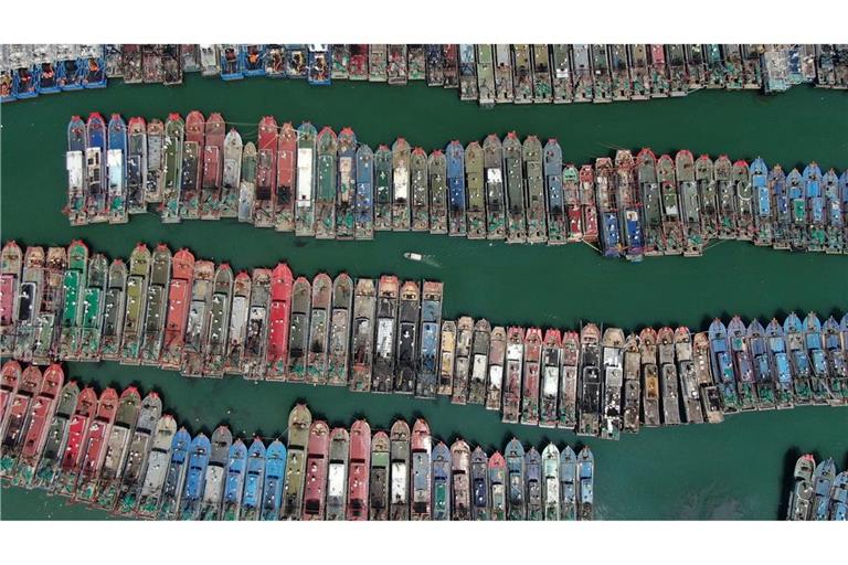 Taifun "Ragasa" verhindert, dass die Fischer in der südchinesischen Provinz Guangdong aufs Meer fahren. Auch diese Boote bleiben im sicheren Hafen.
