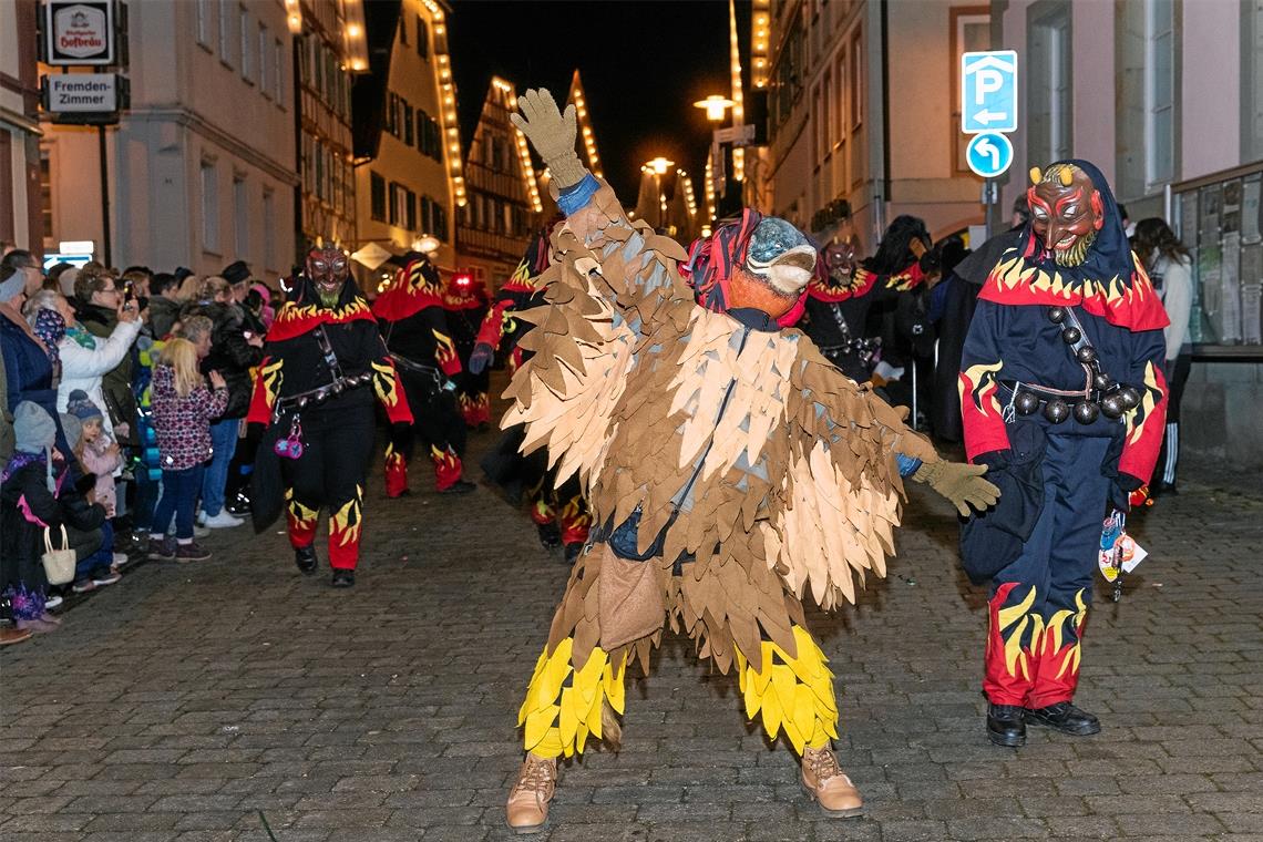 Tauchentle und Feuerteufel.