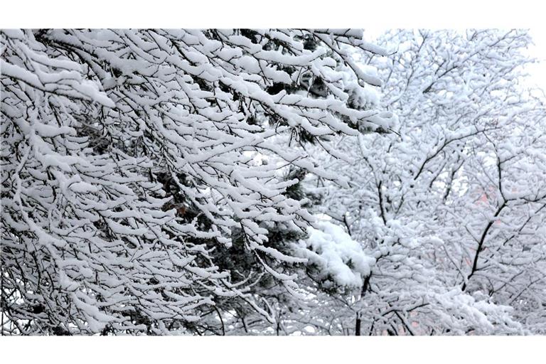 Teilen Baden-Württembergs steht ein weißes Wochenende bevor.
