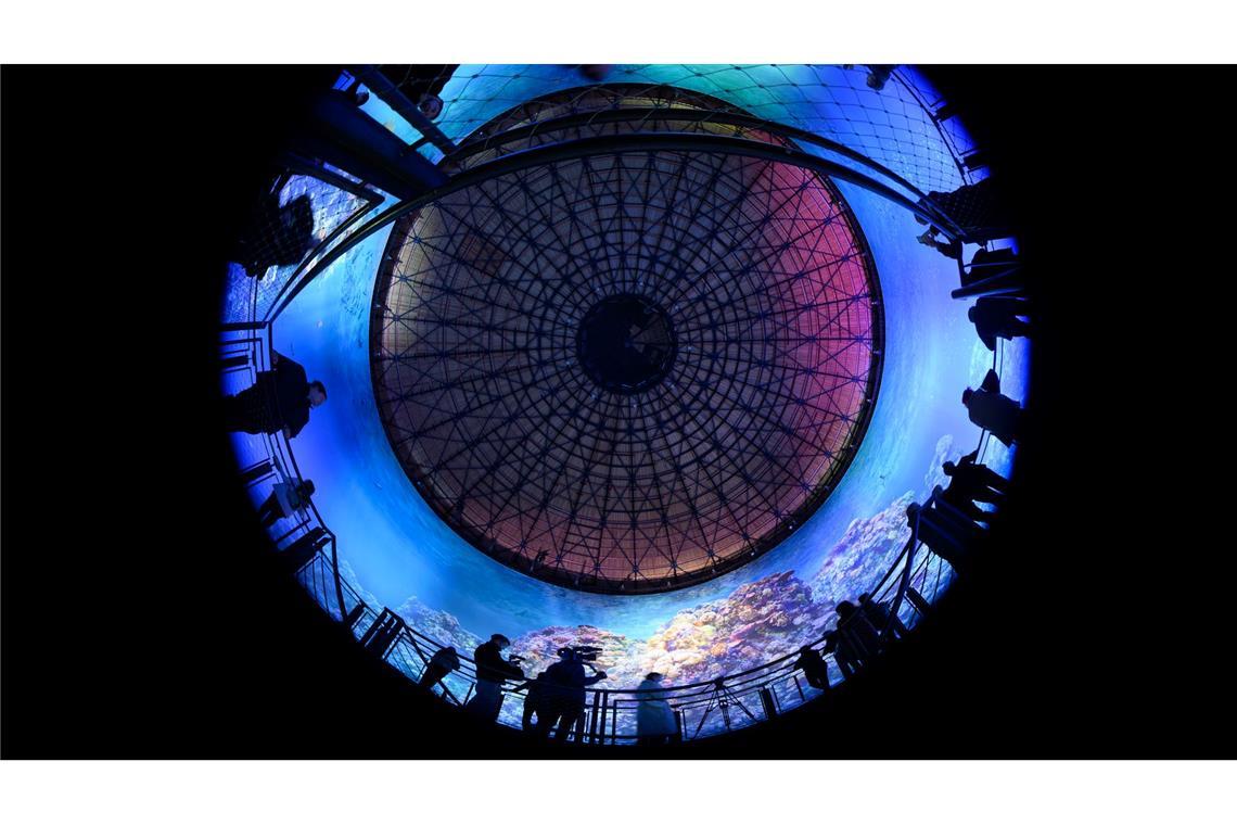 Teilnehmer des Presserundgangs betrachten das Panorama "Great Barrier Reef" von Yadegar Asisi im im Panometer Dresden, einem ehemaligen Gasometer.