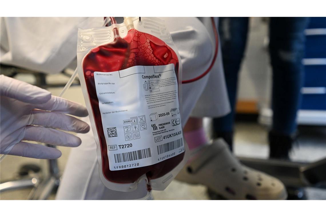 Blutspenden können Leben retten - auch bei Hunden Tendenziell nehmen Bluttransfusionen bei Hunden zu, weil Besitzer bereit sind, teils auch viel Geld zu bezahlen.