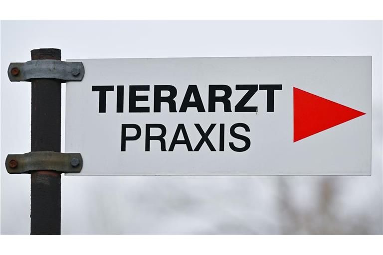 Tierheime beklagen höhere Kosten bei der Behandlung von Tieren. (Symbolbild)