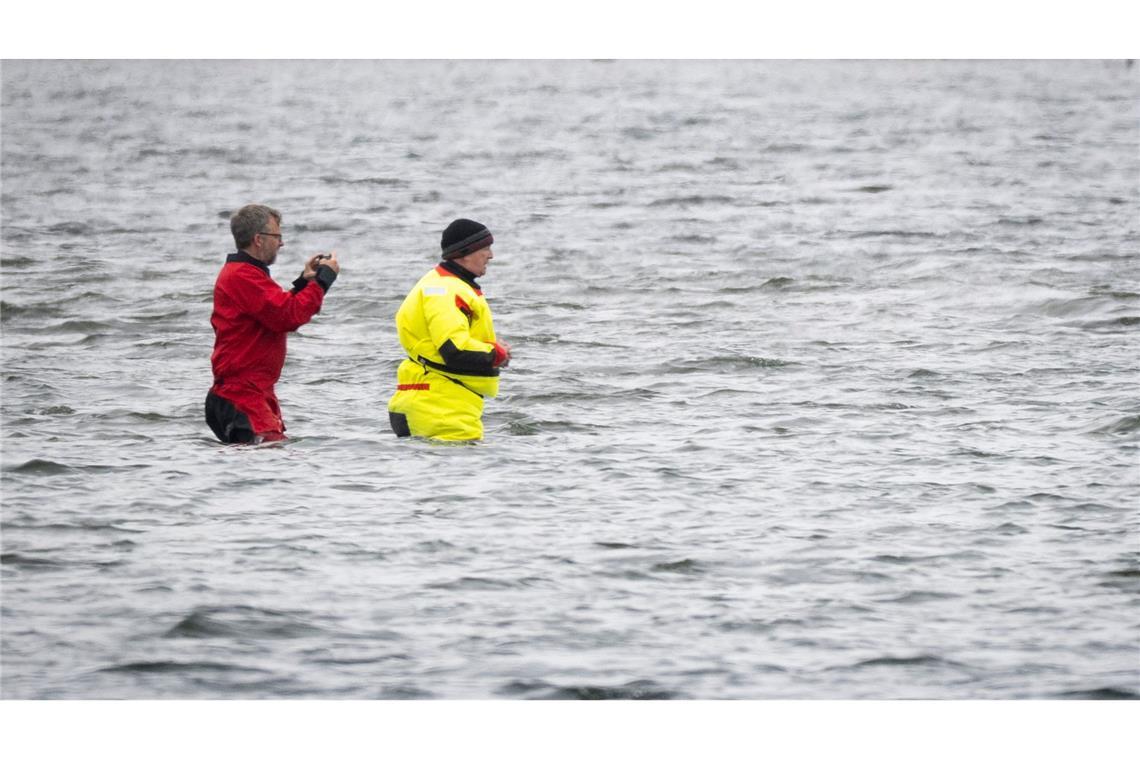 Till Backhaus läuft zum Buckelwal