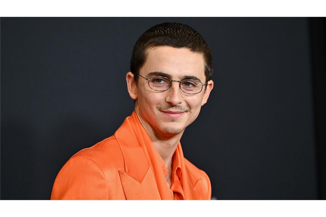Timothée Chalamet ist bald im neuen Film "Marty Supreme" zu sehen (Archivbild).